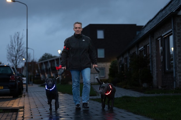 Wendy’s twee zwarte labradors zijn in de schemer onzichtbaar, tot de ...