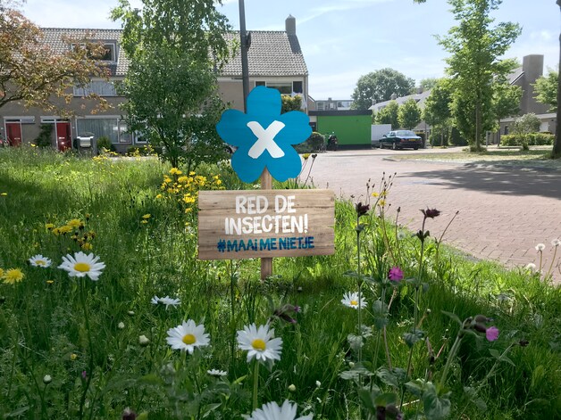 Zwolle door Natuurmonumenten verkozen tot Beste Thuis voor Insecten ...