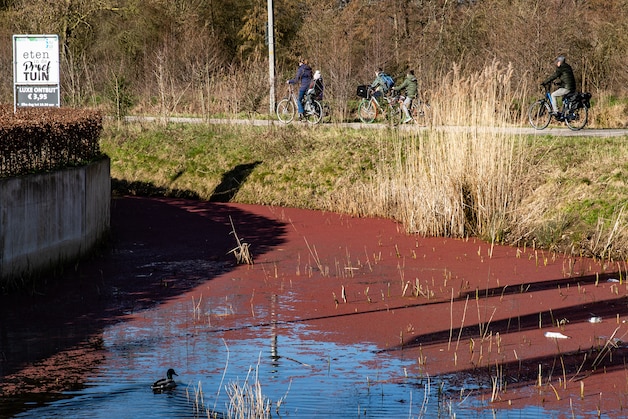 Wéér kleurt water rood in Deventer en Intratuin zit ermee in haar maag ...