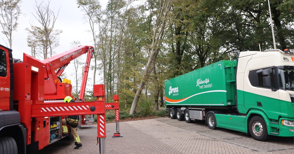 Brandweer zaagt uren aan omgewaaide boom in Voorthuizen: Molenweg drie uur dicht