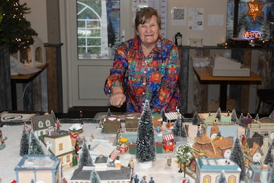 ‘Verslavend’ miniatuurdorp moet geld opbrengen voor Egelopvang Laarbrug