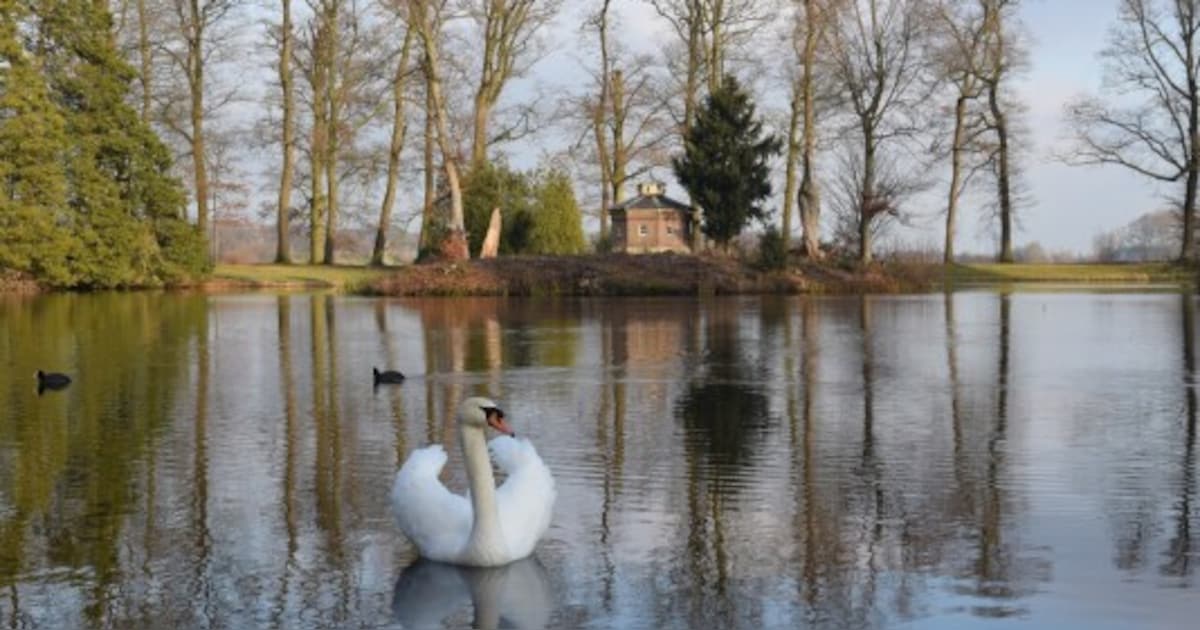 Boswachters begeleiden wandeling op landgoed Biljoen