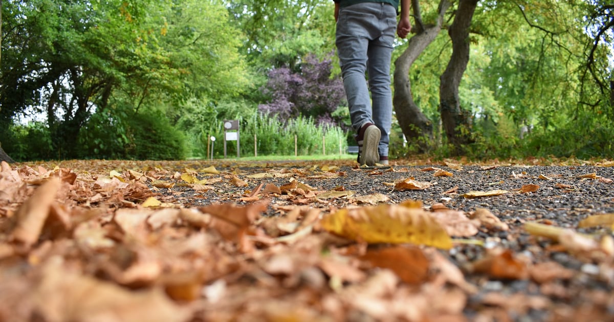 Herfstvakantie in Enschede: dit is de weersverwachting