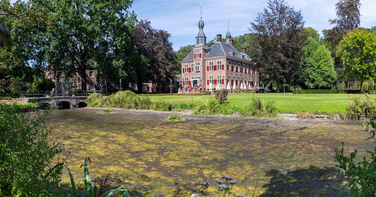 Van idyllische plas naar groengele modderbodem: kasteelvijver in Hierden staat droog