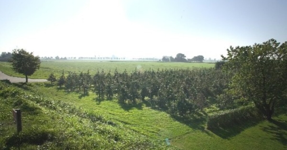 'Appels en peren langs de IJssel' in Welsum