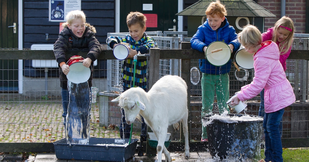 Noodlijdende kinderboerderij in Zutphen lijkt voorlopig gered, beoogde uitbater is ‘nieuwkomer’