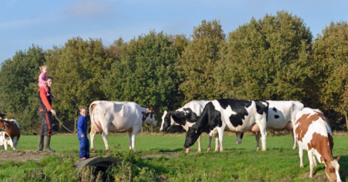 Zuivelbedrijf uit Ommen wil groeien via aandelenemissie