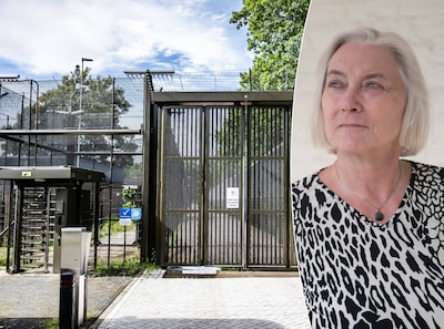 Tbs-directeur over het systeem dat steeds vaster komt te zitten: ‘Misschien zijn we iets té voorzichtig geworden’