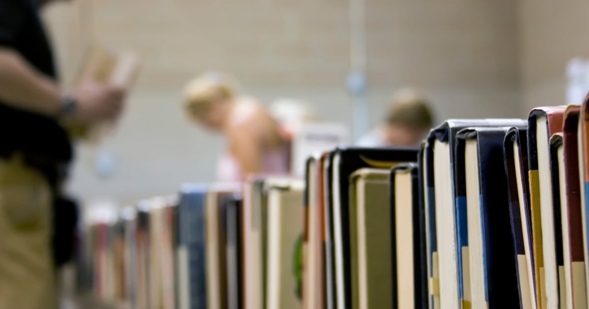 Van alles te doen tijdens Zotte Zomerweken in de bibliotheken van Dronten