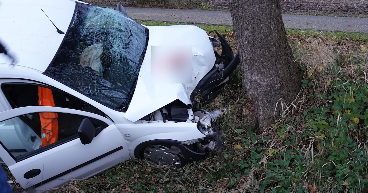 Automobilist crasht in Den Velde tegen boom