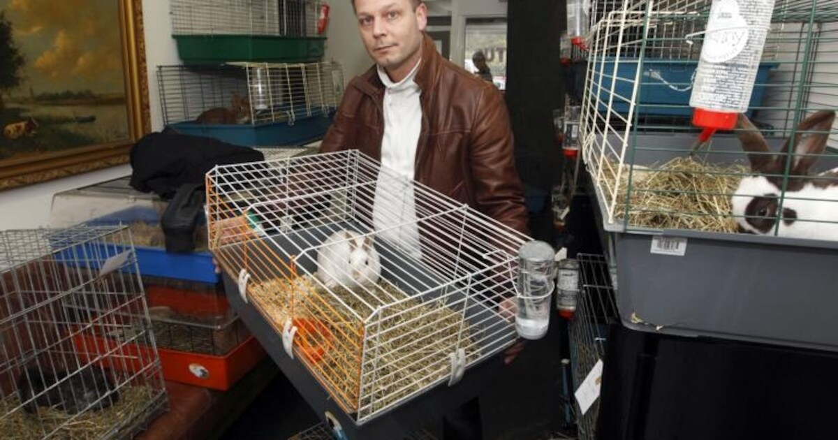 Liefde voor konijnen gaat ver bij Carl | Regio | De Stentor.nl