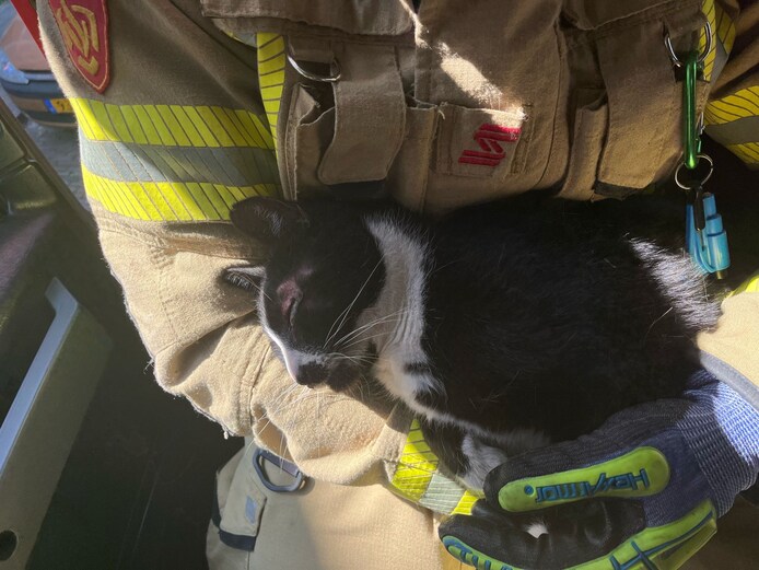 De brandweer redde zondag een kat uit een afvalcontainer aan het Staringplein in Arnhem.