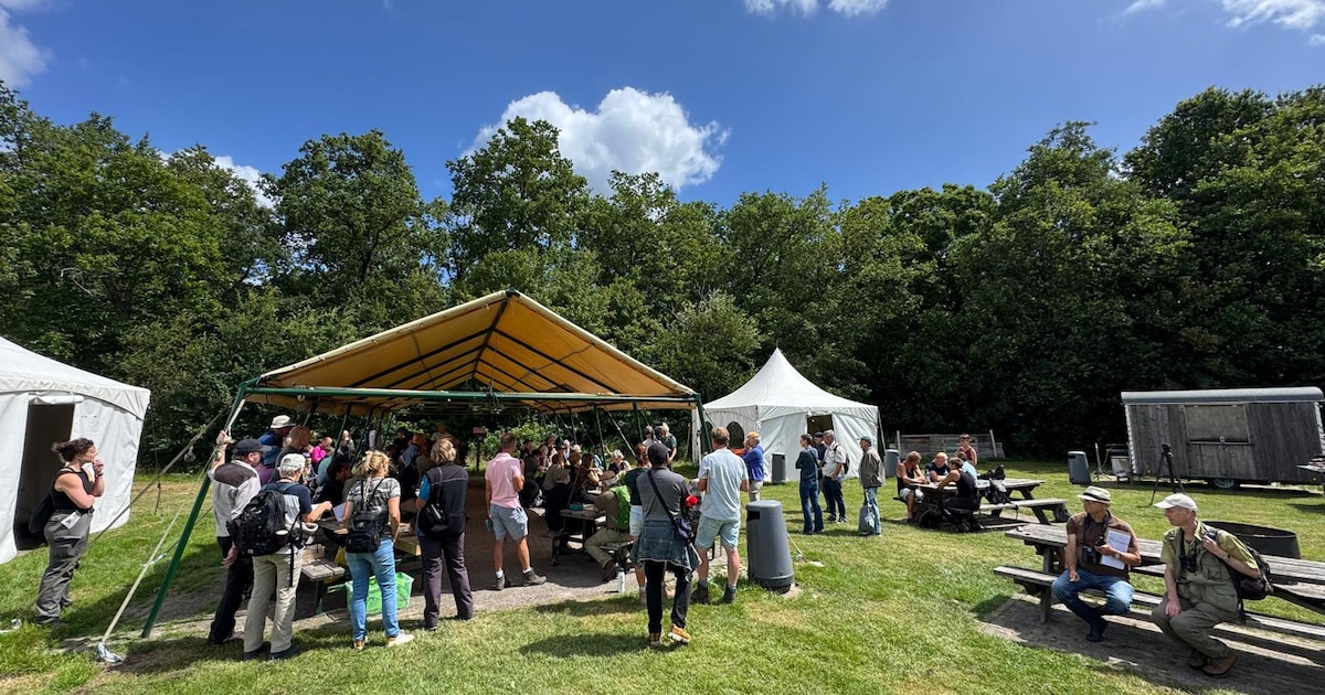 Ruim 2300 vlinders geteld tijdens jubileumeditie in het Kuinderbos