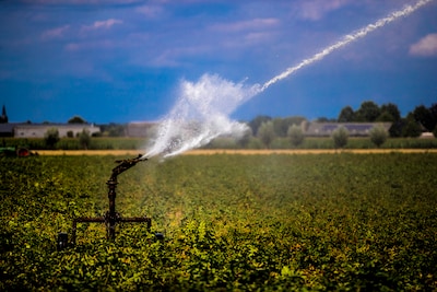 Langdurige droogte en lage waterstanden in de regio: ‘Verwacht je meer in september’