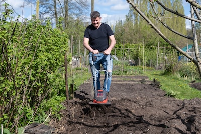 Een volkstuintje op Dorrestein is hip: ‘Maar mijn bloemkool is vele malen duurder dan in de winkel’
