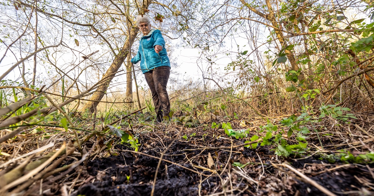 Roeli (70) zit vast in het moeras en zakt steeds verder weg: 'Het is hier levensgevaarlijk'