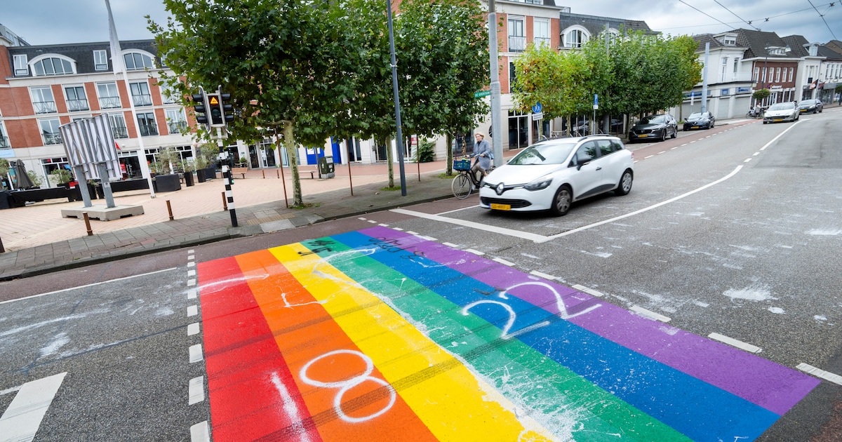 Deze gemeente wil de regenboogvlag vaker laten wapperen maar zit intussen met beklad regenboogpad: ‘