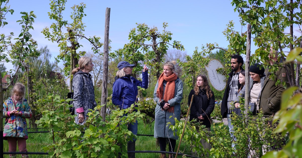 Rondleidingen en proeverijen bij Gelderse voedselbossen: Eerbeek en Ermelo doen ook mee