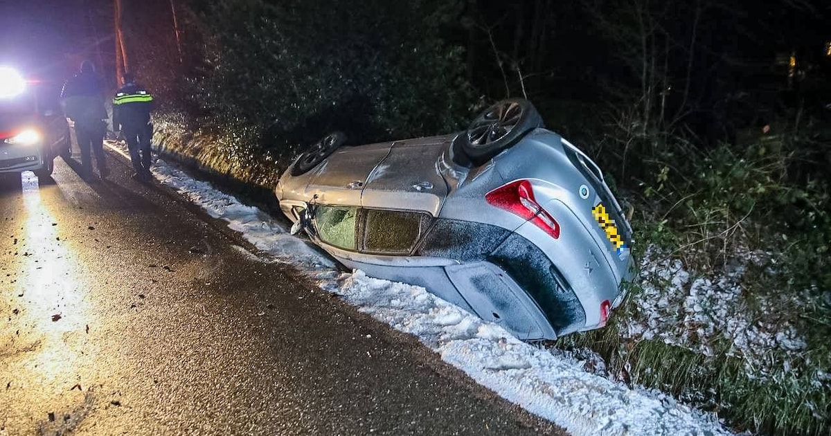 Bestuurder botst met auto tegen boom en eindigt op de kop in sloot