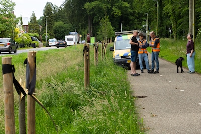 Splinternieuwe bomen worden binnen een maand vernield: ‘Daar