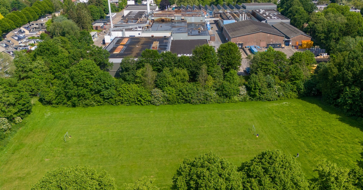 Epe neemt stikstofrisico voor lief bij plan voor 123 woningen: ‘Zou tot vertraging leiden’