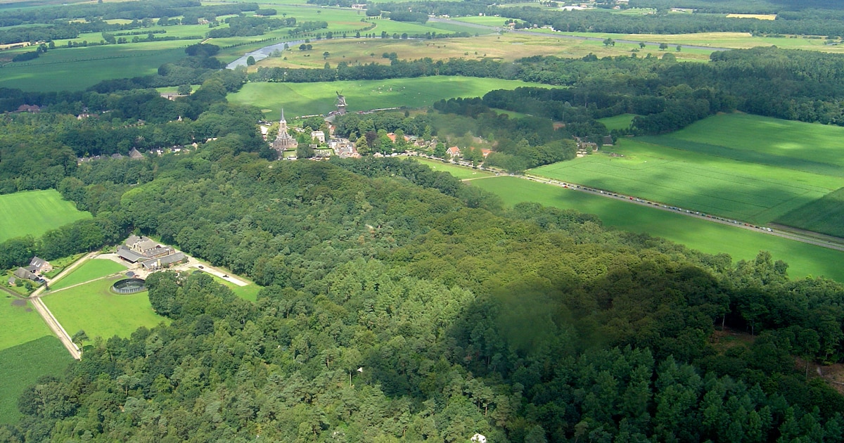 Lezing en excursie op Landgoed Vilsteren: directeur-rentmeester neemt bezoekers mee