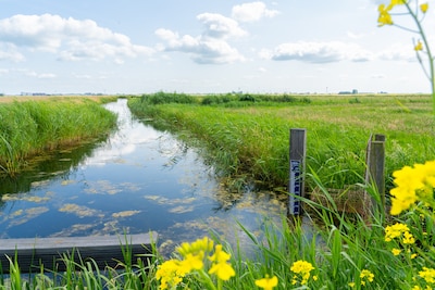 Vijfdelige gratis cursus moet mensen warm maken voor bestuur van het waterschap