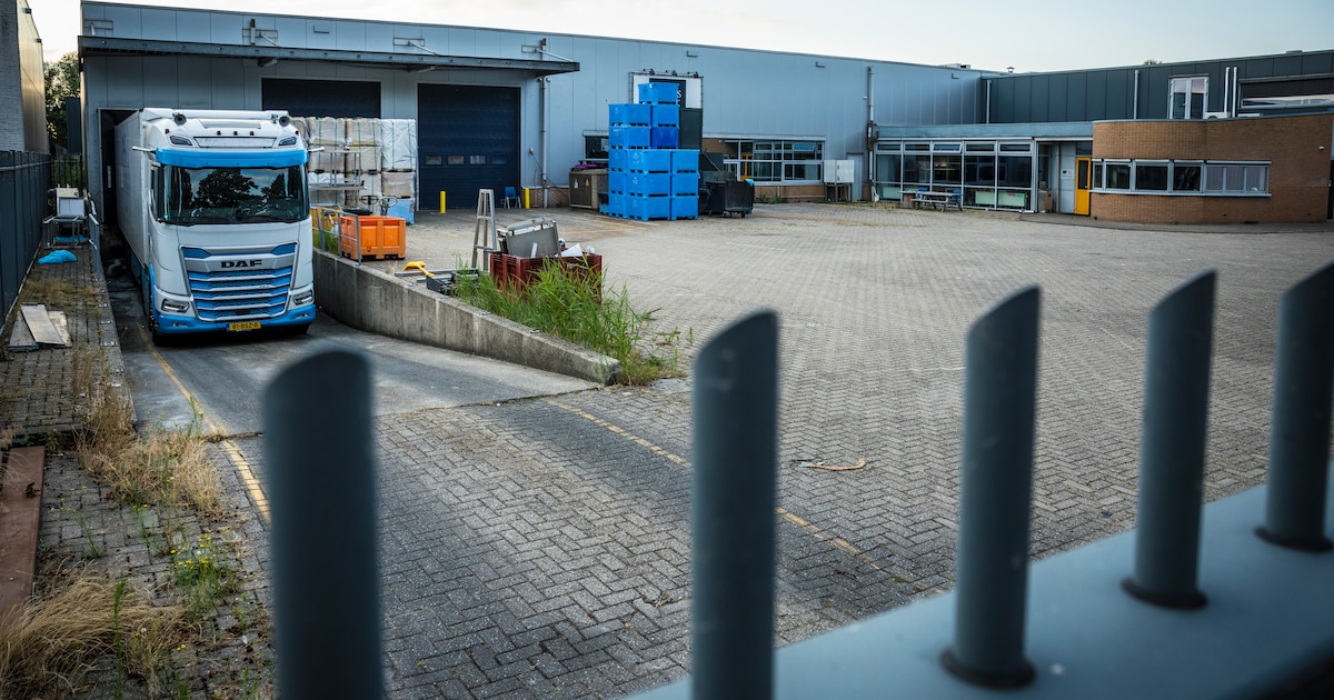Miljoenen euro’s schuld: failliete visgroothandel Urk blijkt niet meer te redden