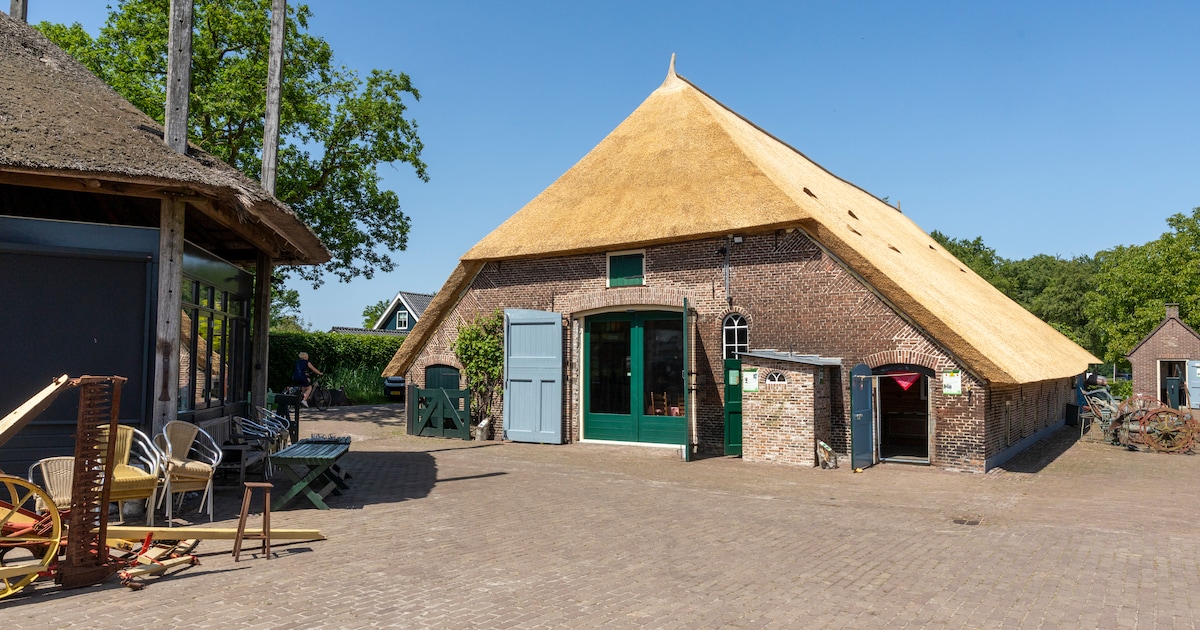 Boerderijmuseum Oldebroek houdt kidsweek met vijf themadagen