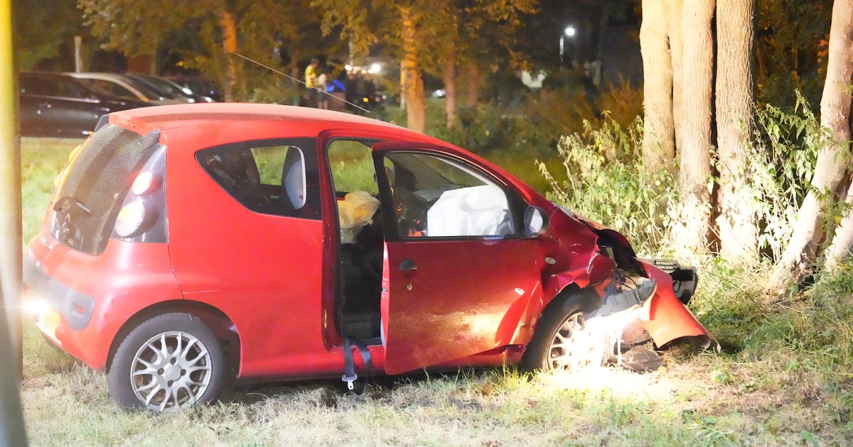 Auto raakt flink beschadigd na botsing tegen boom in Meppel