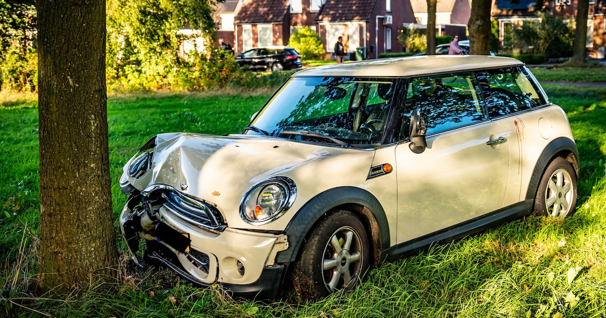Kind kruipt zonder rijbewijs achter het stuur en botst tegen boom in Assen
