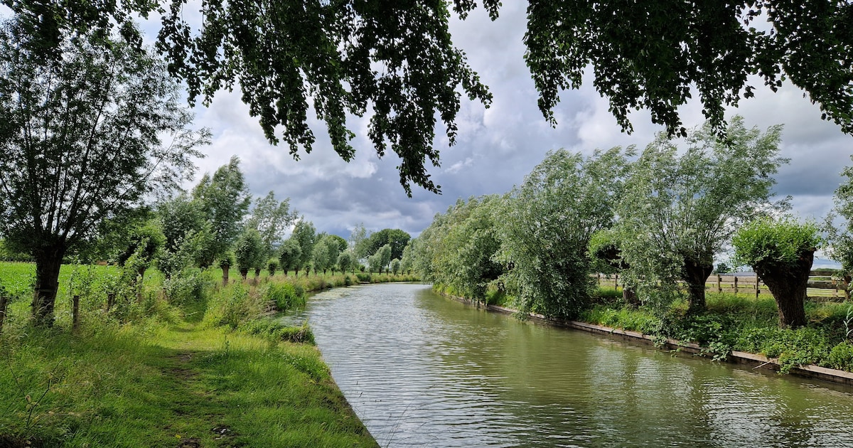 Gratis beplanting moet wateroverlast rond Voorsterbeek helpen beperken