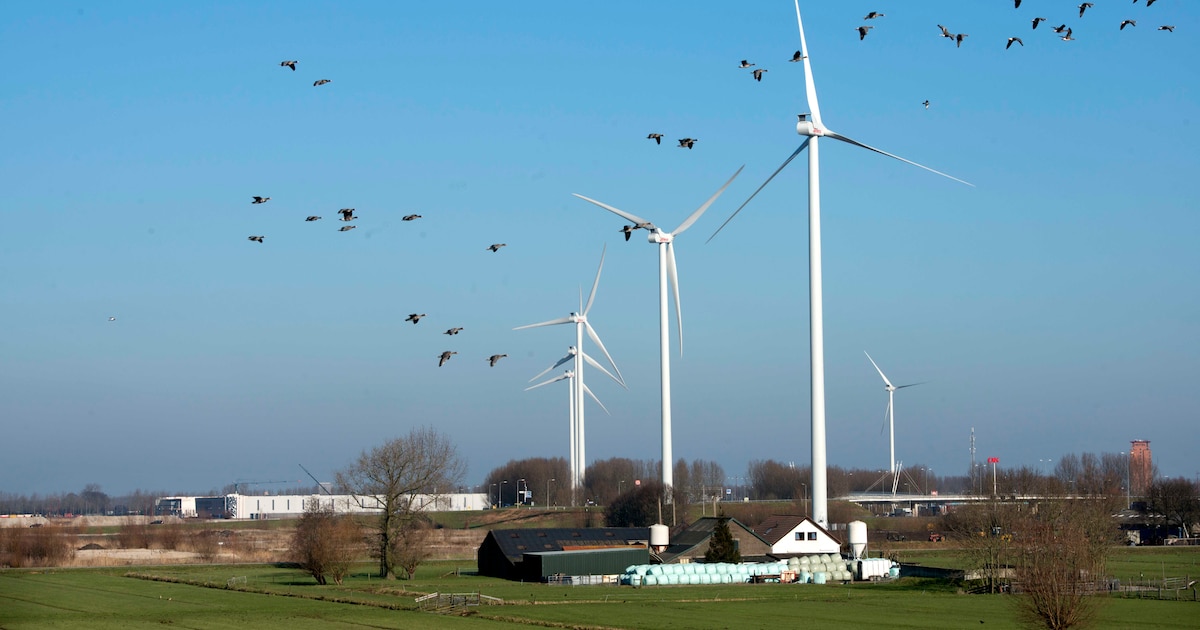 Dit najaar vallen de besluiten over windmolens: wat betekent dat voor Leusden?