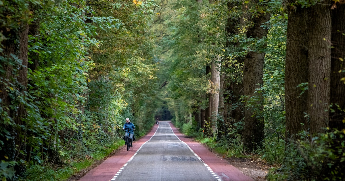 De cijfers liegen niet: dit doet herinrichting met sluipverkeer in Raalte
