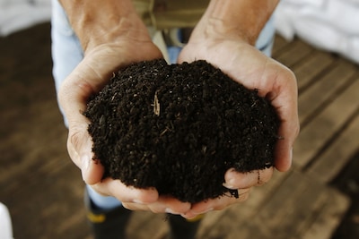 Barneveld deelt zaterdag gratis compost uit: ‘Wees er snel bij, want op is op’