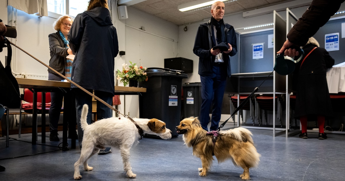 Zo stemde Almere: in deze wijk haalde de PVV 37 procent van alle stemmen