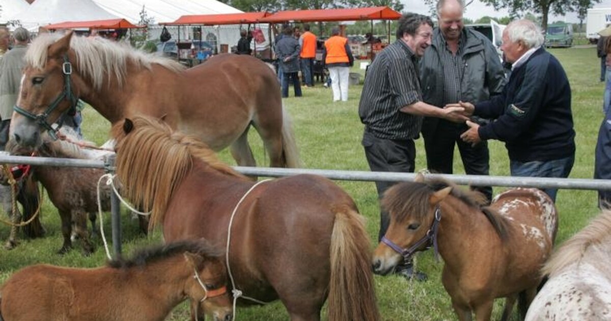Heerlijke knusheid op Herxer Feest