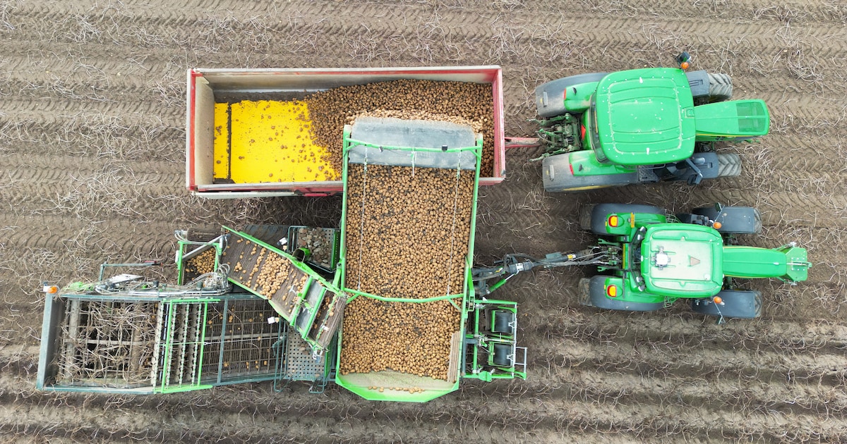 ‘Ik ben heel dom geweest’: ondernemer uit Barchem verkocht landbouwmachines die niet van hem waren