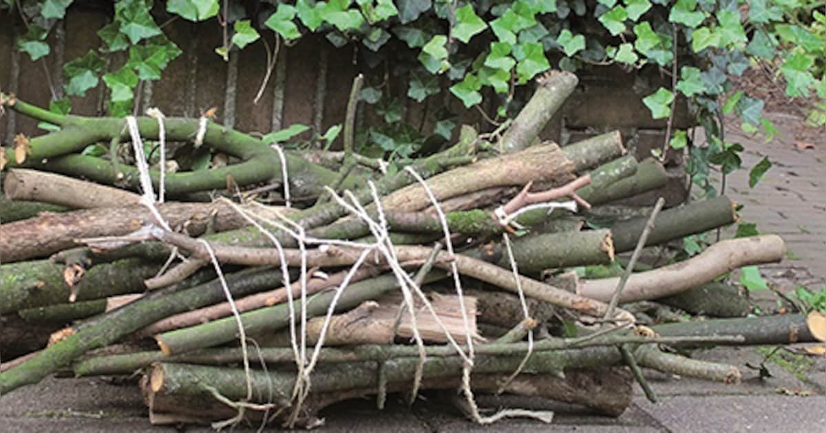 In Elburg wordt binnenkort de laatste snoeihoutroute van het jaar gereden