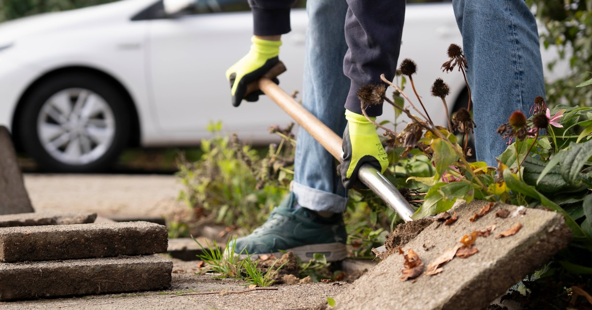 Gemeente Hof van Twente kampioen tegelwippen: meer dan 42.000 tegels vervangen door groen