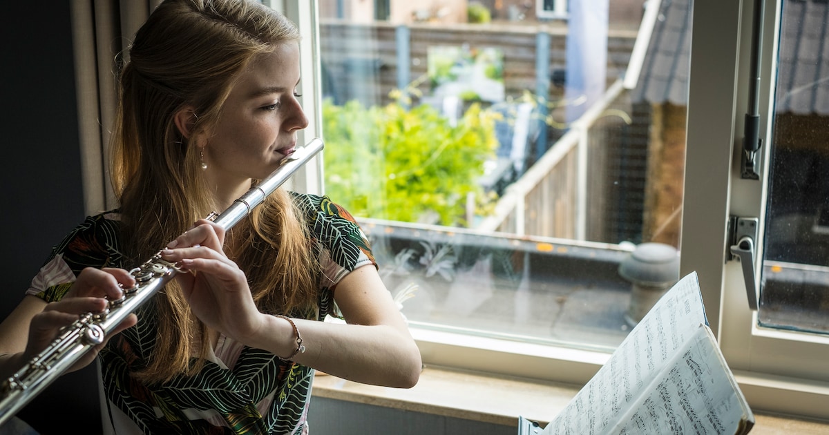 Nieuwjaarsconcert met dwarsfluit en orgel in De Veste | Hattem ...