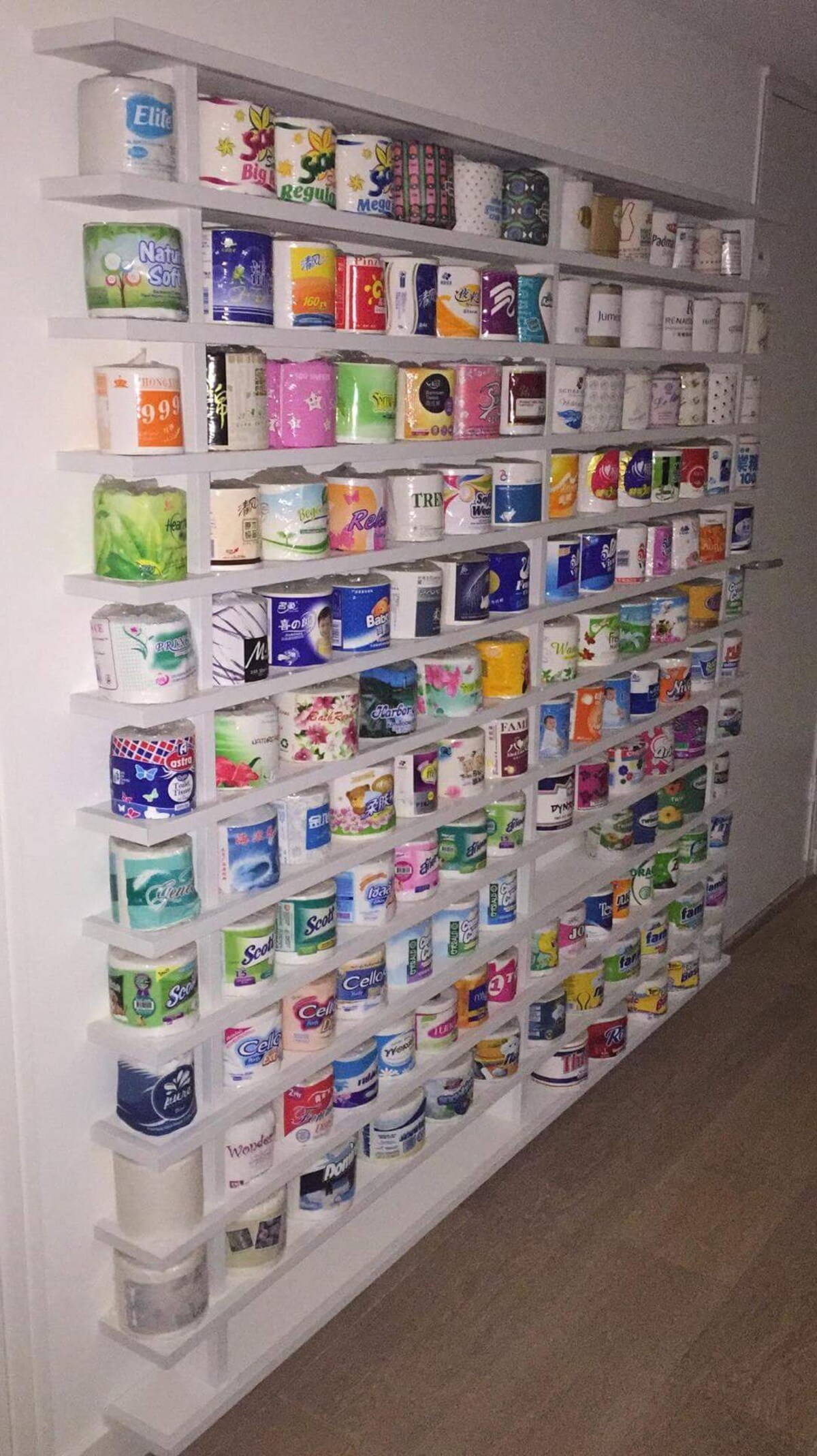 Het wandje met nieuwe rollen wc-papier, vlakbij het toilet. Met die extra erbij moet het wereldrecord toch lukken?  De Ermelose Caroline van Harten gaat er vol voor.
