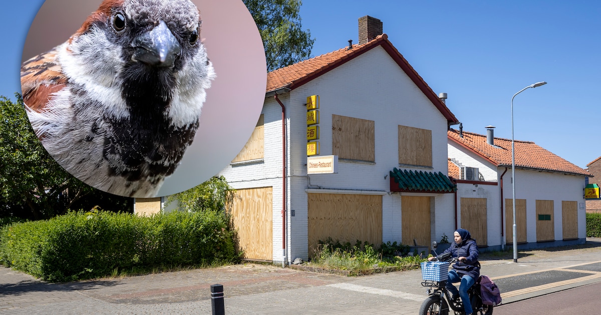 Spoedzoekers in ‘t Harde moeten nog langer wachten: vergunningen nog altijd niet rond