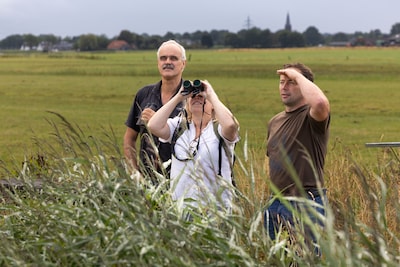 Deze weidevogels hebben een goed jaar dankzij jacht op vossen en meer muizen