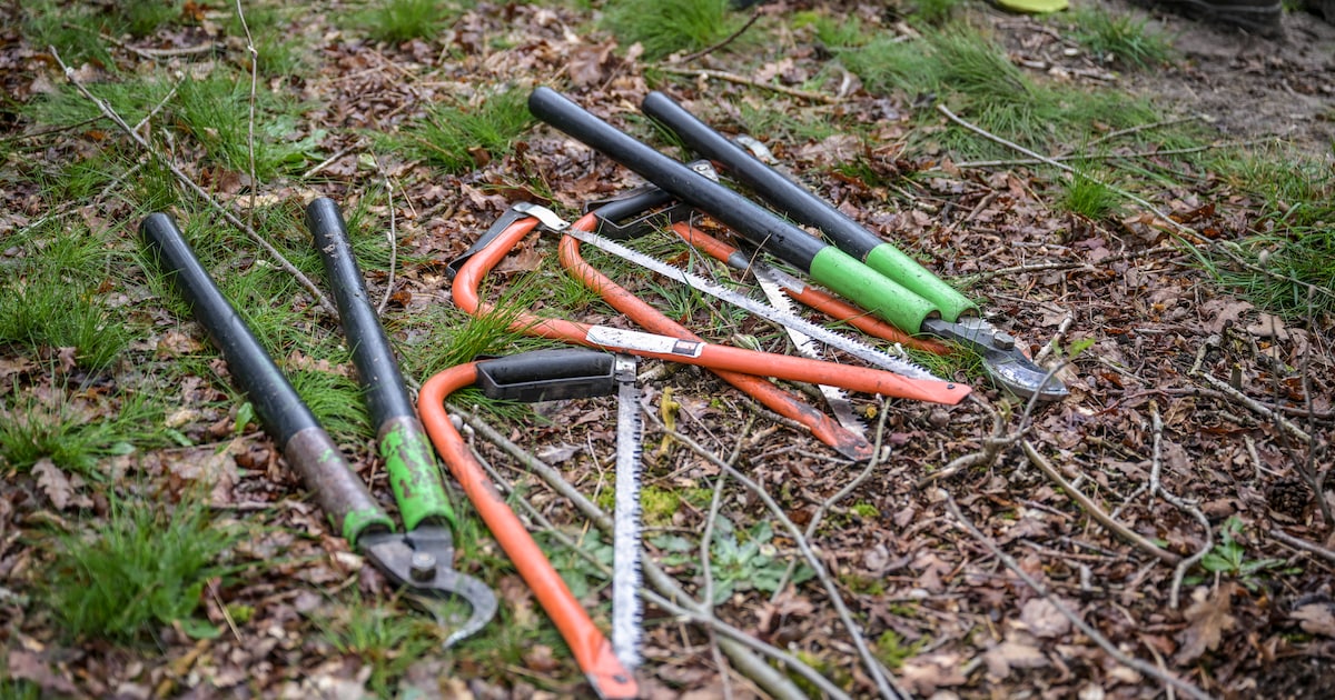Opschoonactie op de heide in Speuld