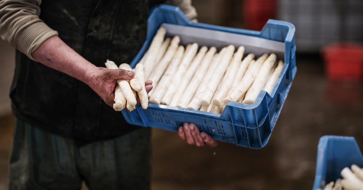 Aspergeverkoop voor Het Oude IJssel Huis in Doetinchem