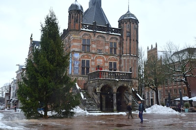 Mysterie: dit gebeurt er met de kerstboom op de Brink na de feestdagen