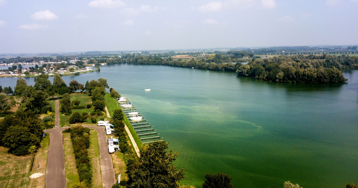 Blauwalg rukt op: waarschuwing voor Wylerbergmeer en Gouden Ham
