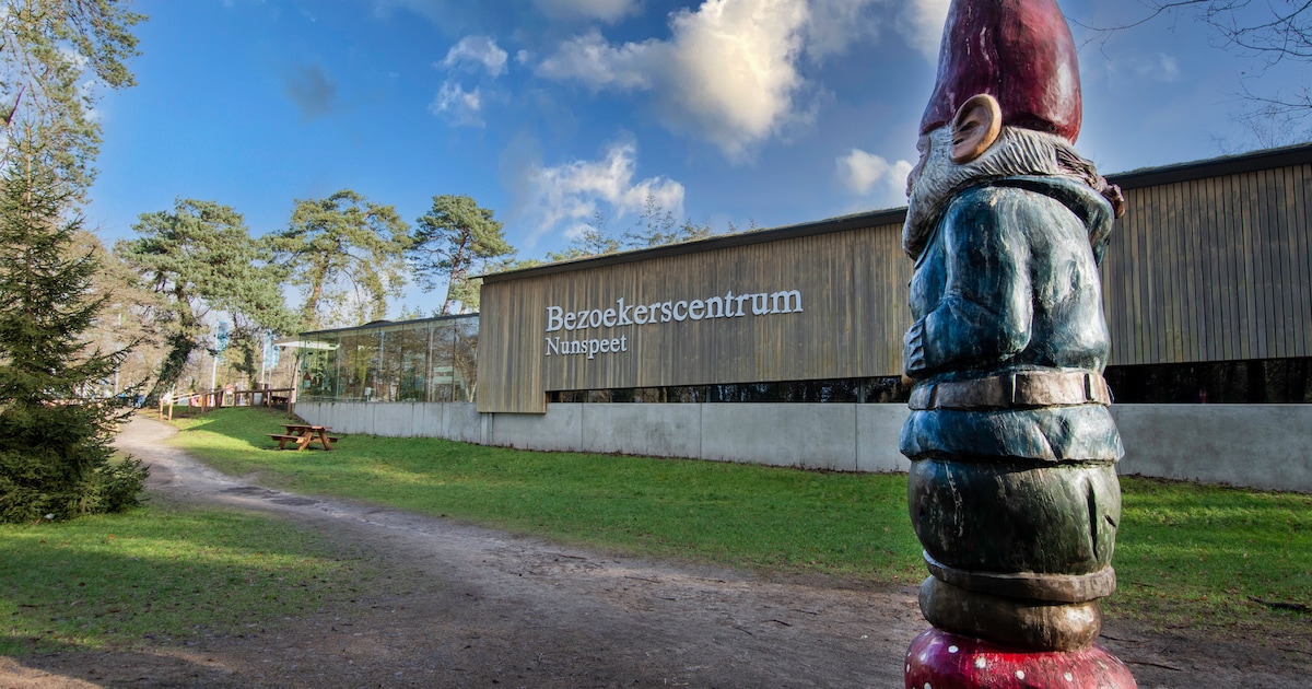 Bezoekerscentrum Nunspeet organiseert zomeractiviteiten voor kinderen en gezinnen