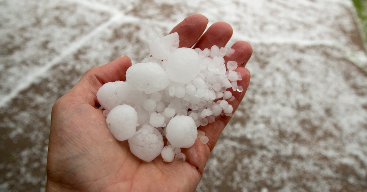 Fors minder schade in Olst-Wijhe door noodweer vorig jaar, schadebedrag door hagel voor het eerst si